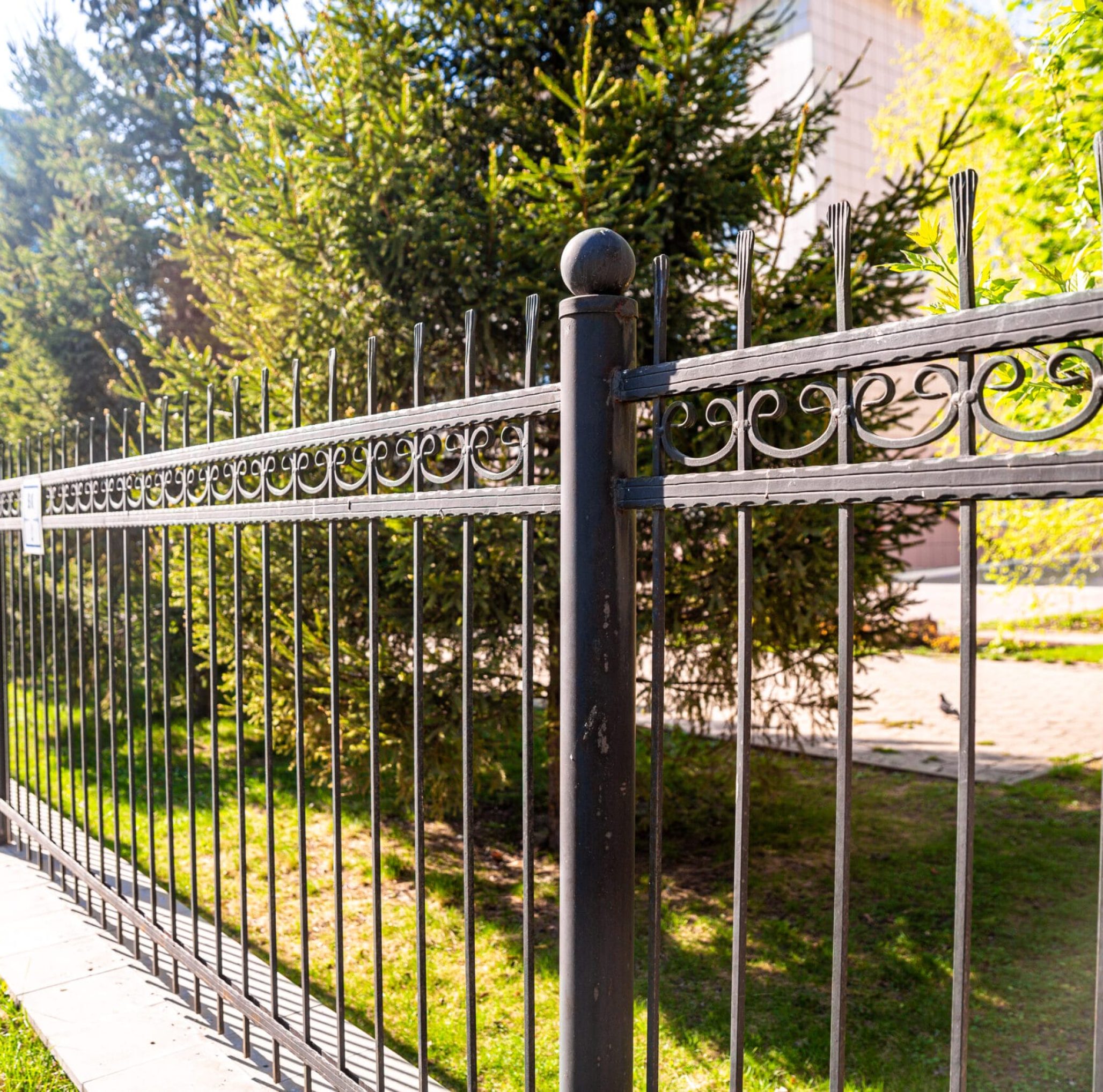 iron fence on the background of trees